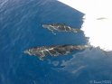 DSC09381 - 050330 c - Dauphins